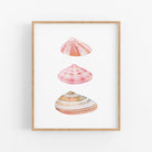 three seashells on a white background framed in a wooden frame