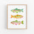Fish ~ Art Prints