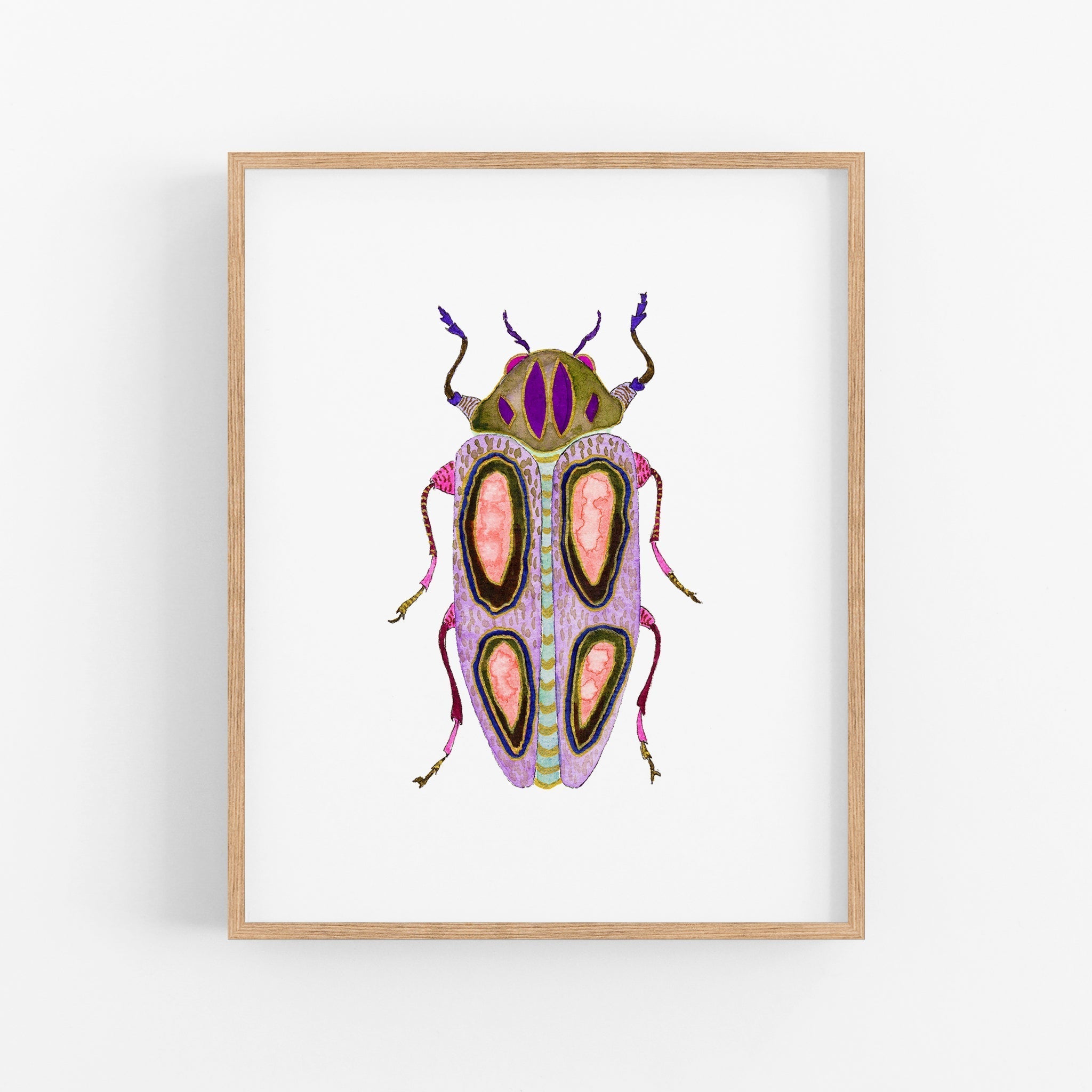a picture of a bug on a white background