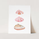 a card with three seashells on it