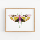 a painting of a butterfly on a white background