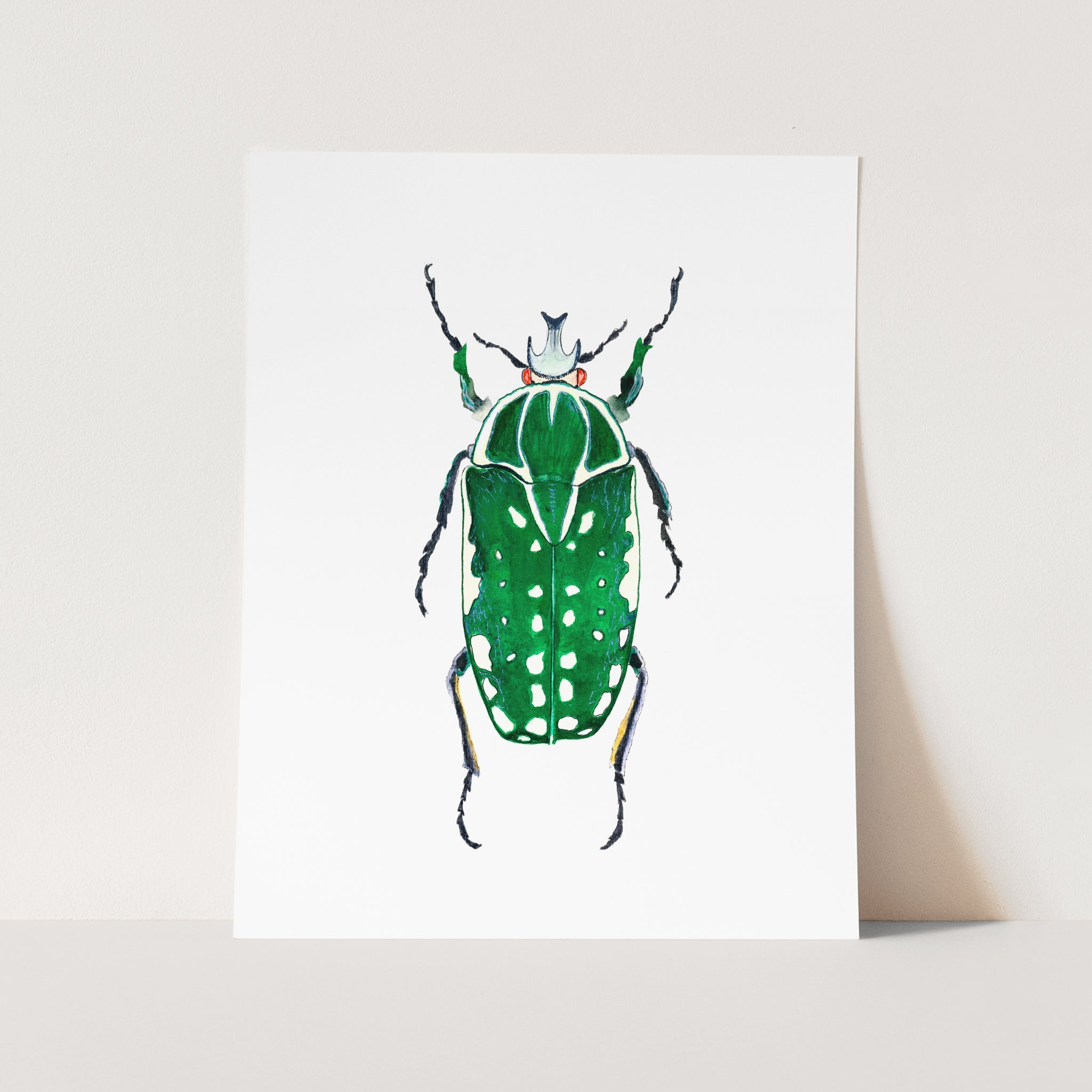 a green bug on a white background