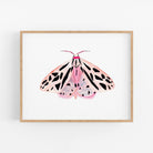 a picture of a pink and black butterfly