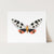 a white card with a black and orange butterfly on it