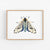 Moths ~ Art Prints