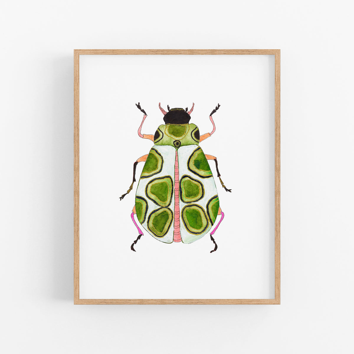 a picture of a green bug on a white background