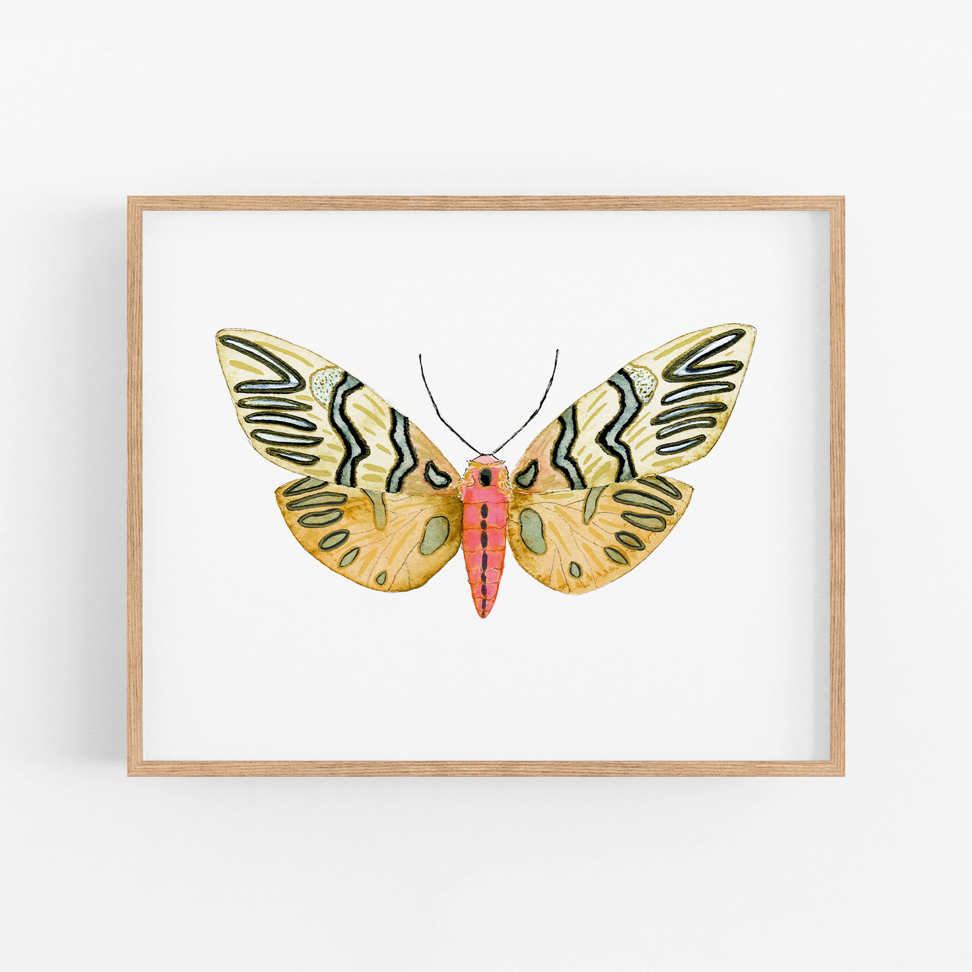 a painting of a butterfly on a white wall
