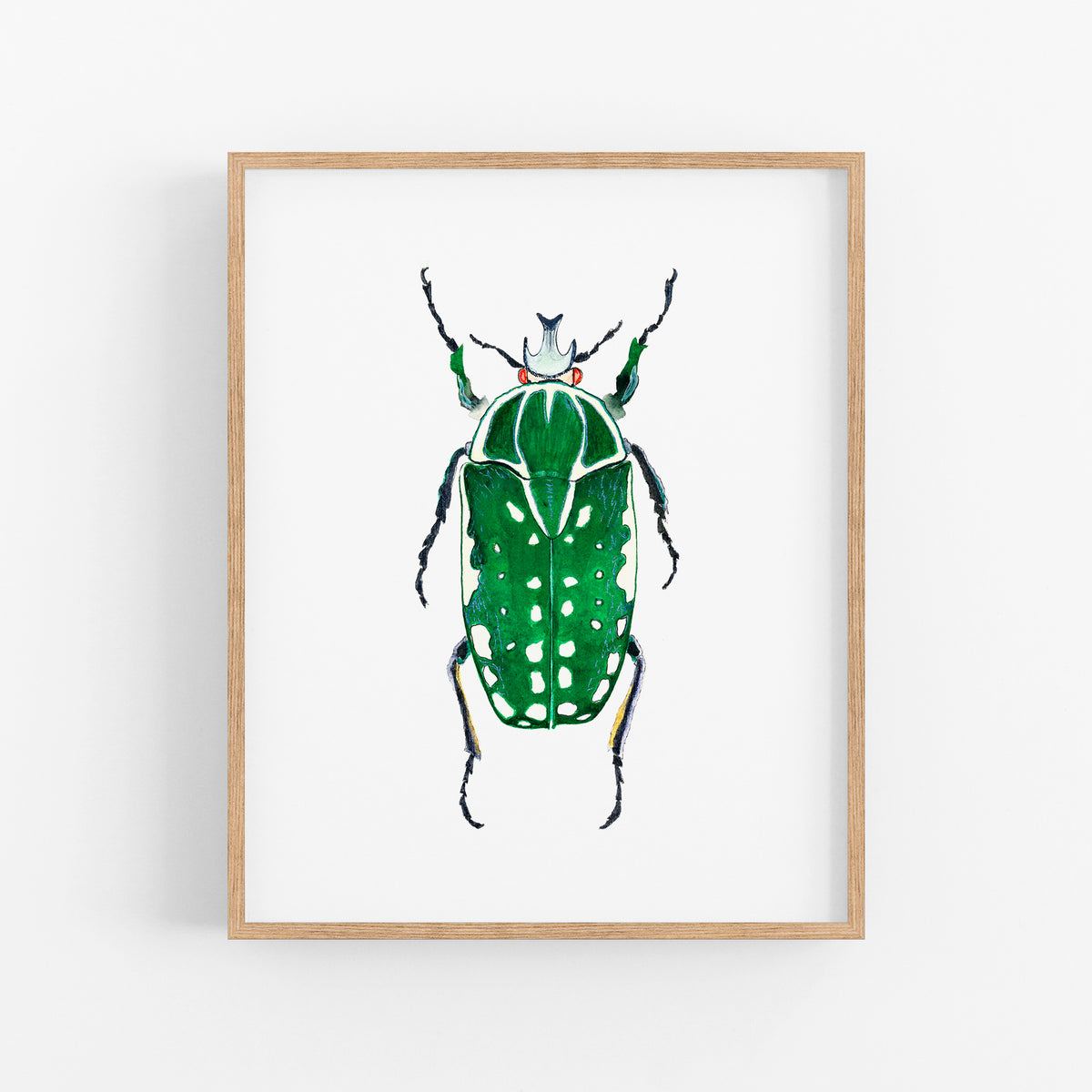 a picture of a green bug on a white wall
