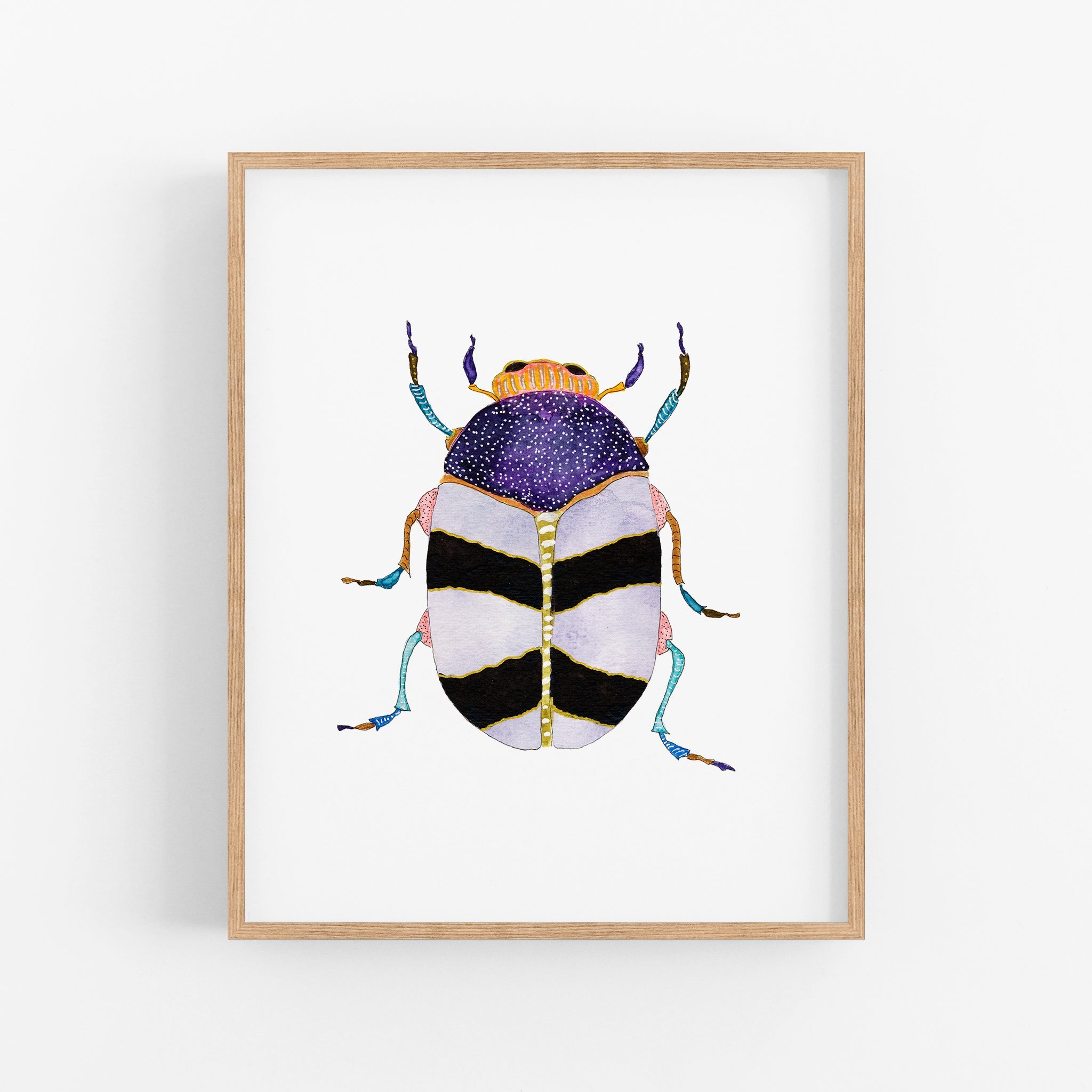 a picture of a bug on a white background