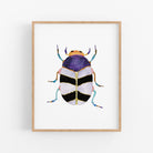 a picture of a bug on a white background