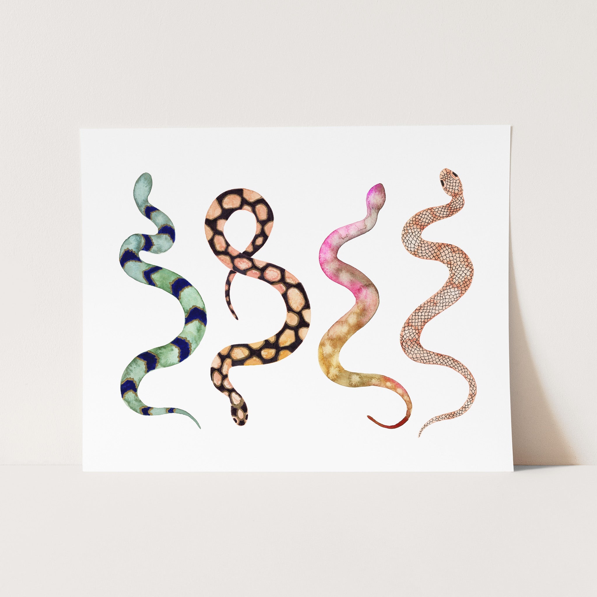 a picture of a snake on a white background