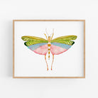 a painting of a pink and green butterfly