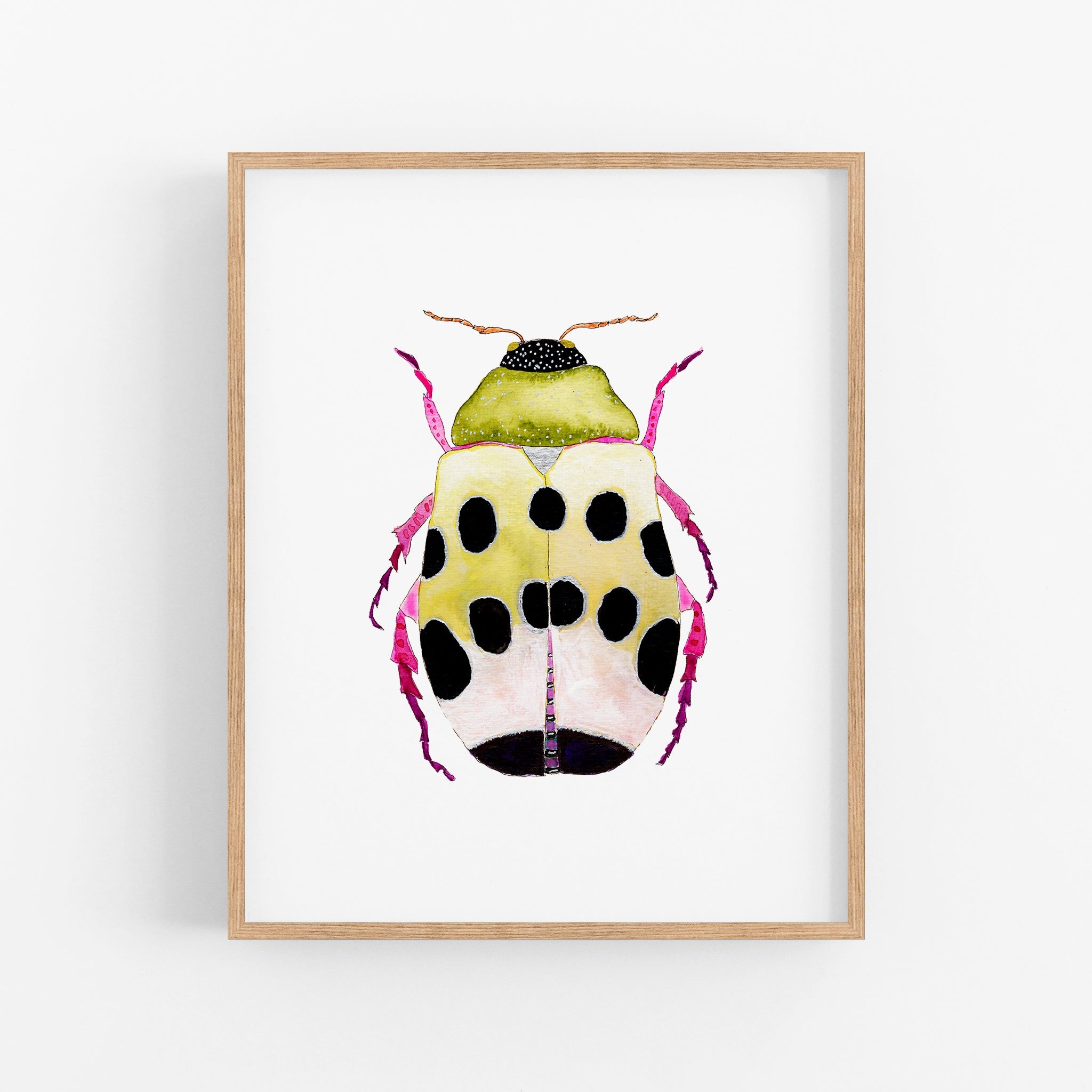 a picture of a bug on a white wall