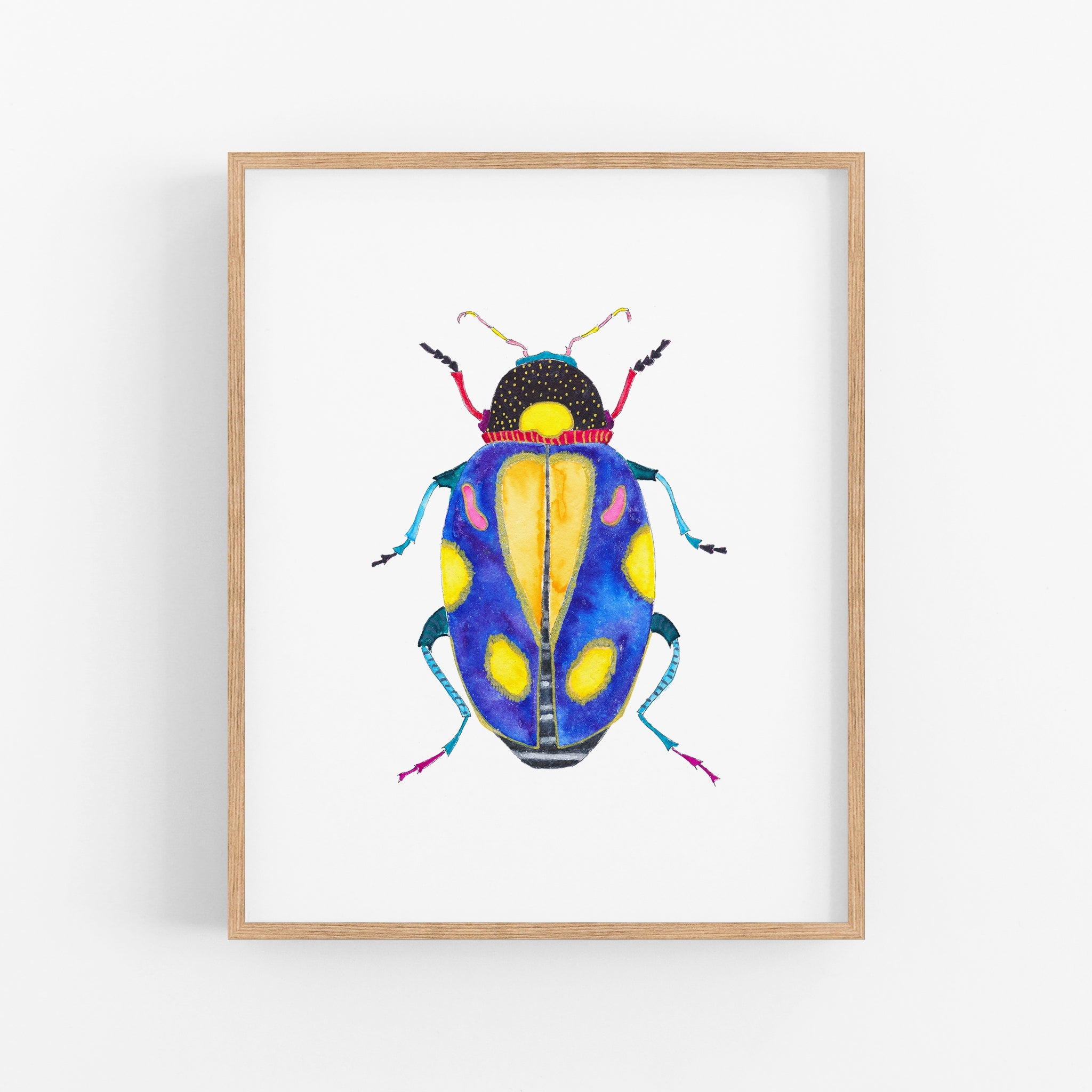 a picture of a bug on a white wall