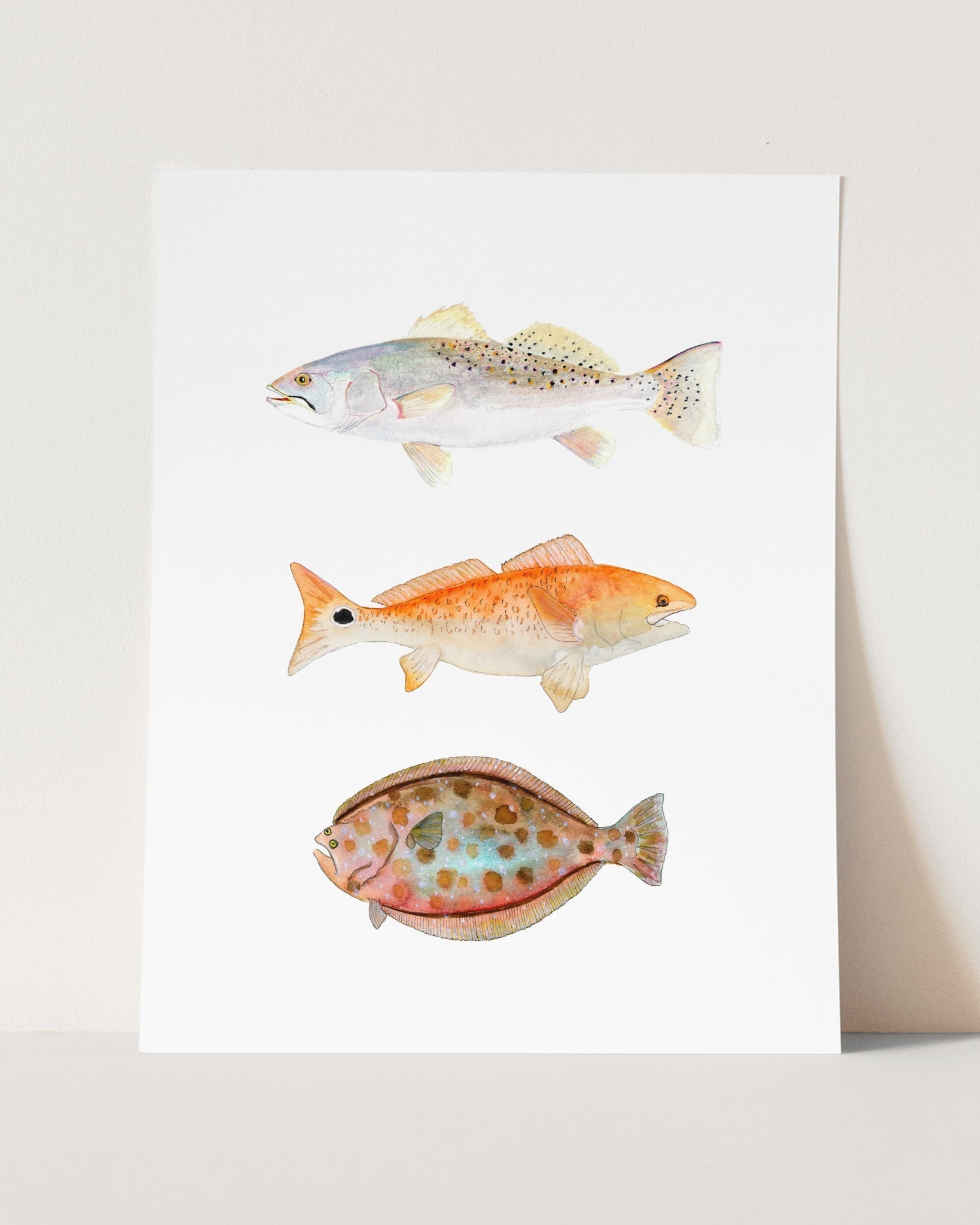 a card with three different types of fish on it