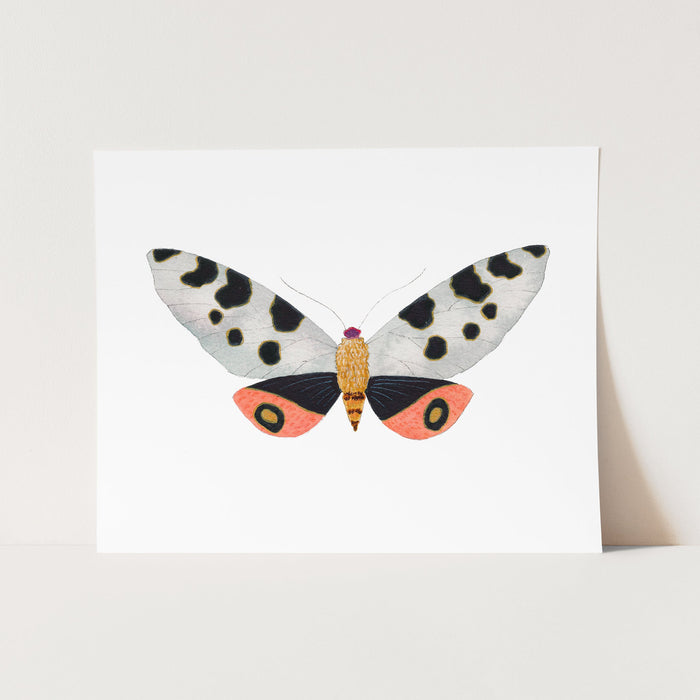 a white card with a black and orange butterfly on it