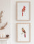 Cardinals ~ Print Set of 2