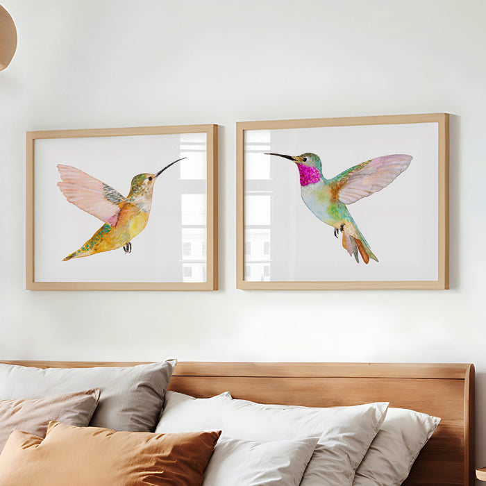 Hummingbirds ~ Print Set of 2