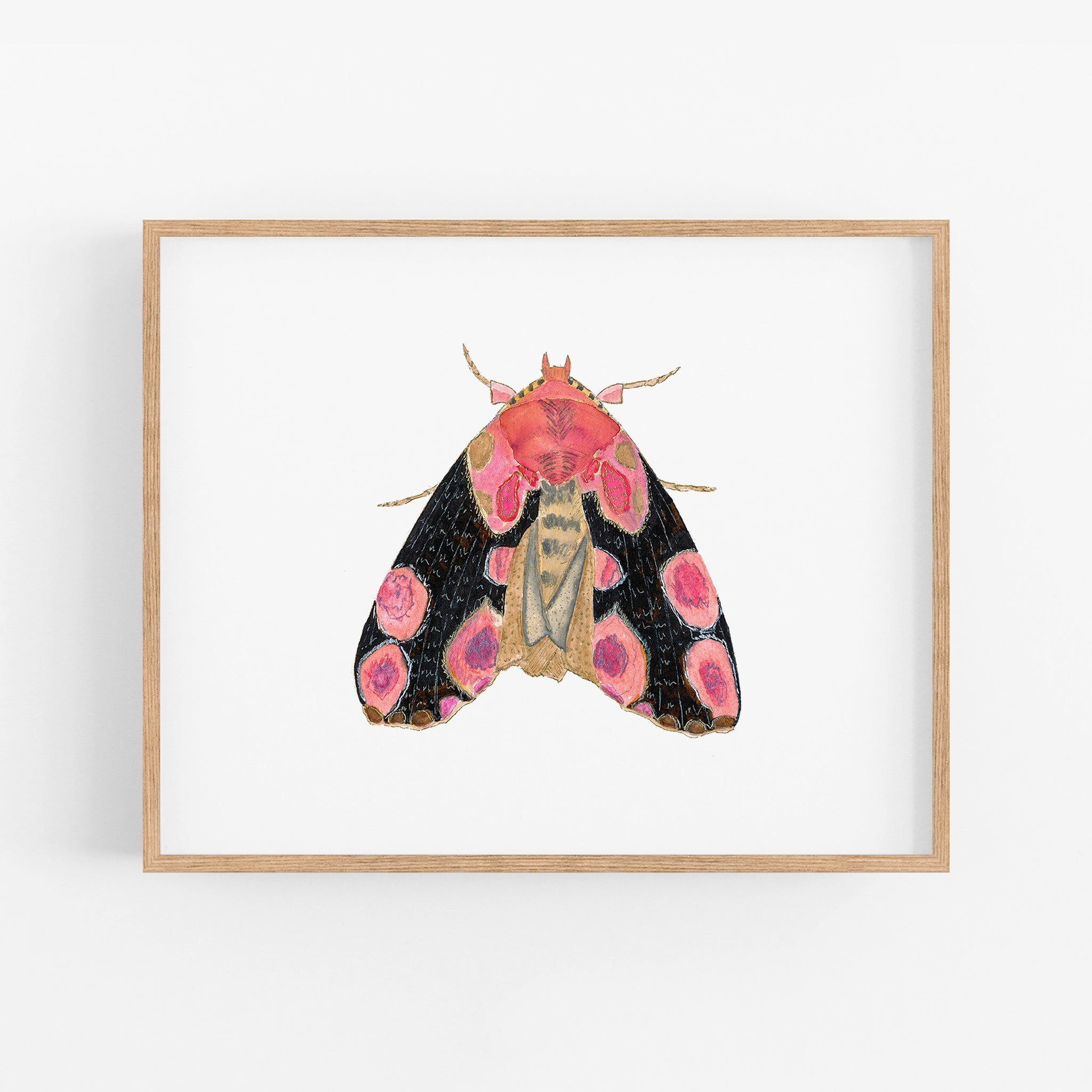 a picture of a pink and black moth on a white background