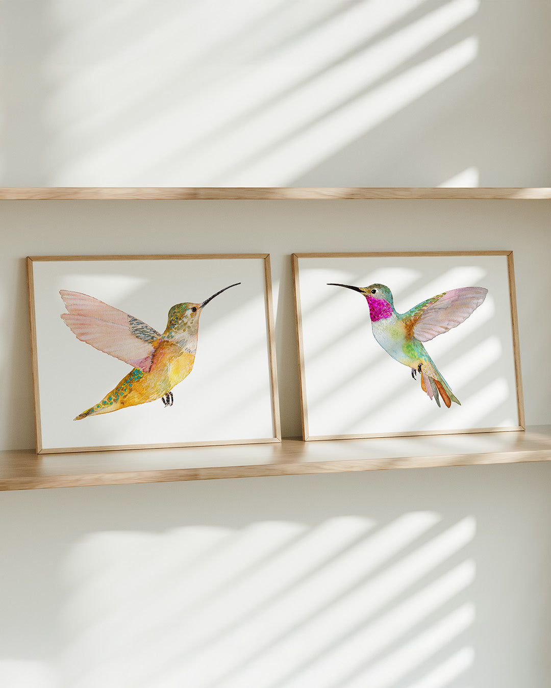 Hummingbirds ~ Print Set of 2