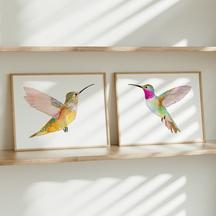 Hummingbirds ~ Print Set of 2