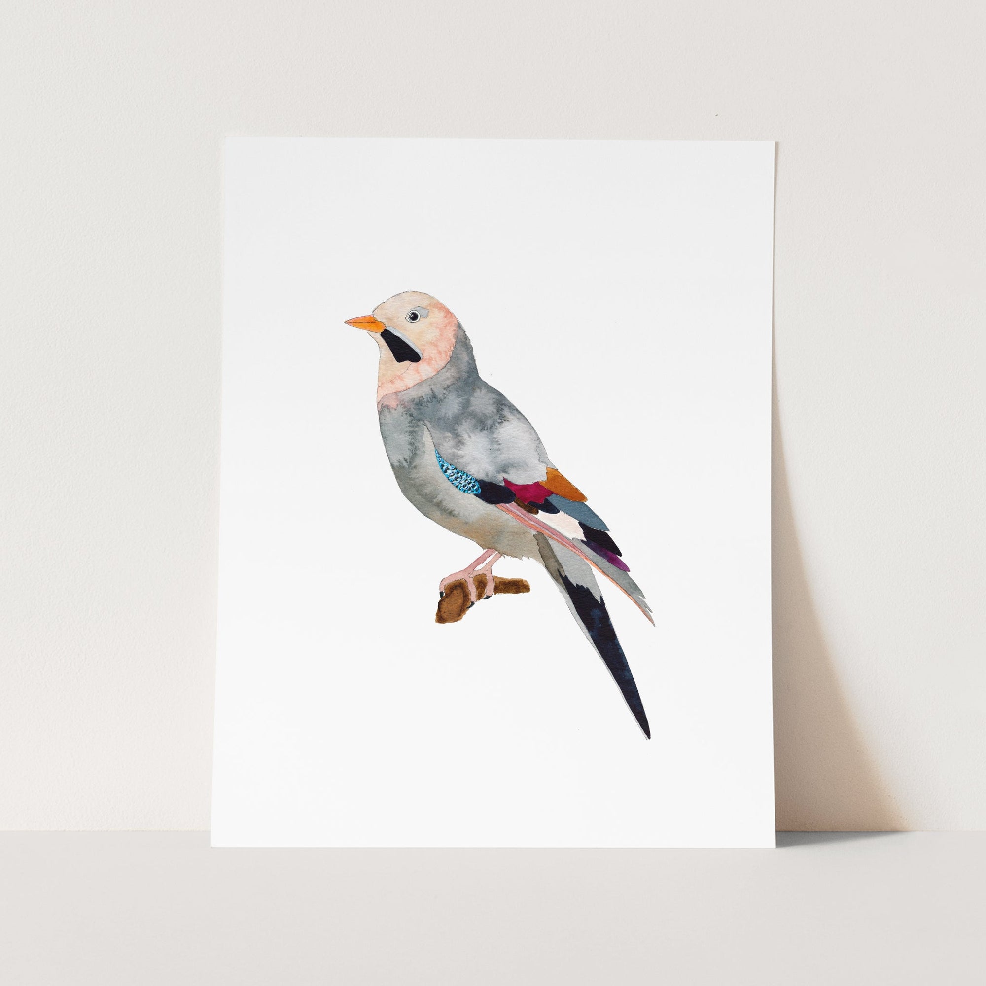 a bird sitting on a branch with a white background