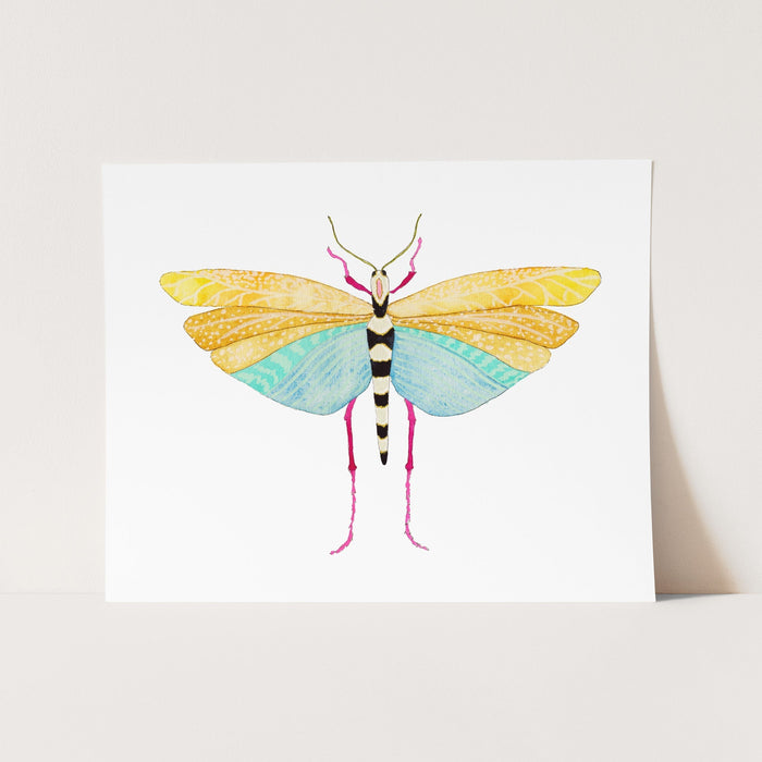 a card with a picture of a bug on it