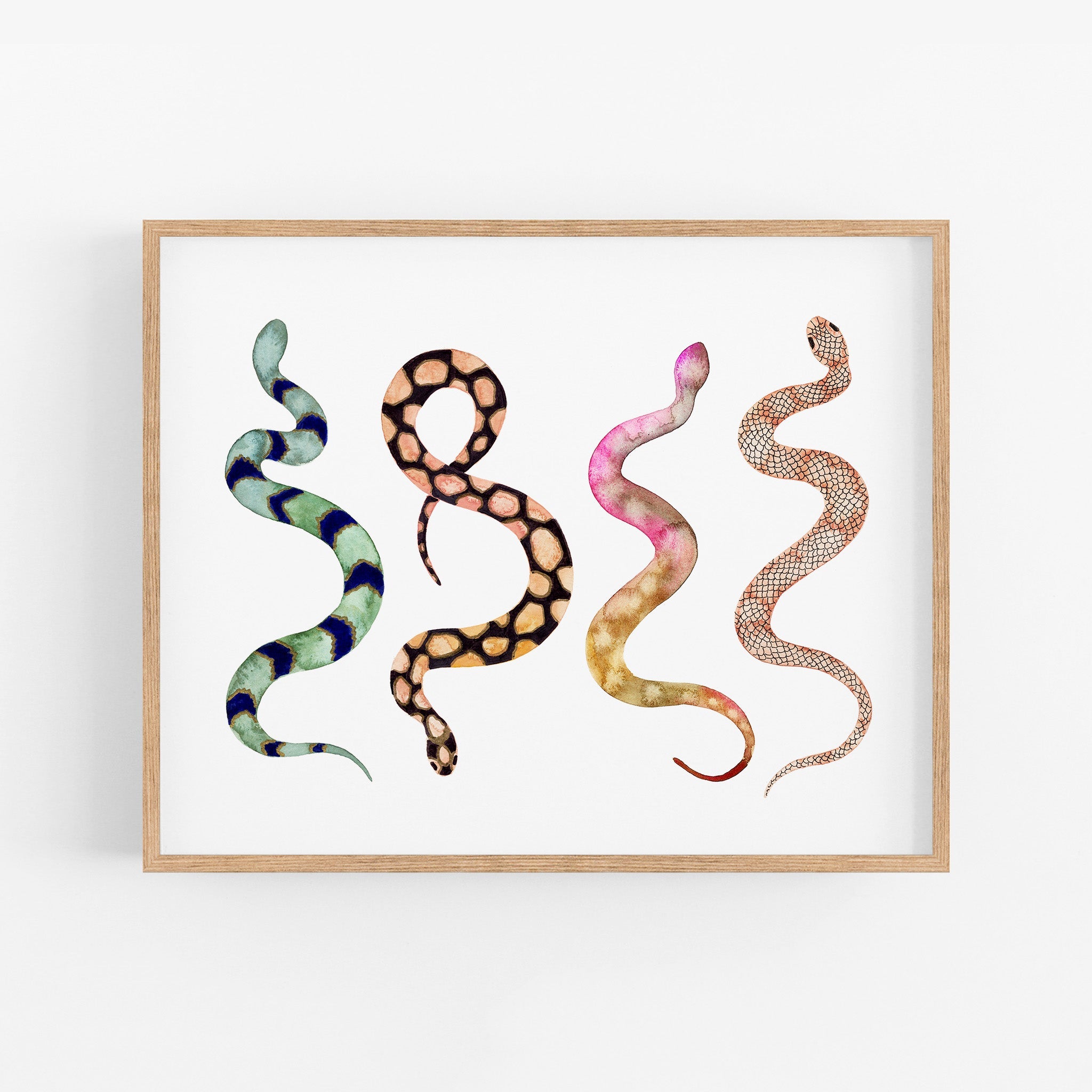 a picture of a snake on a white background