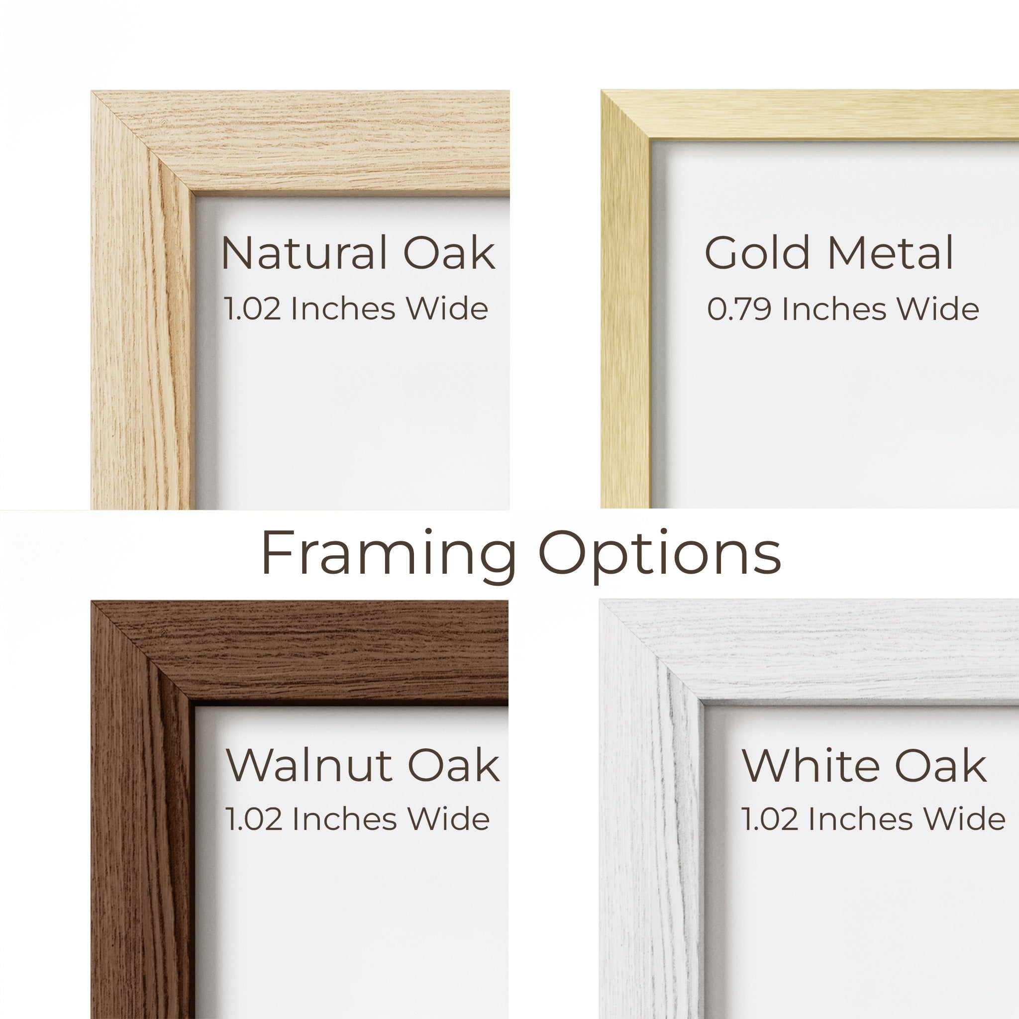 a picture frame with different types of framing options