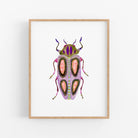 a picture of a bug on a white background