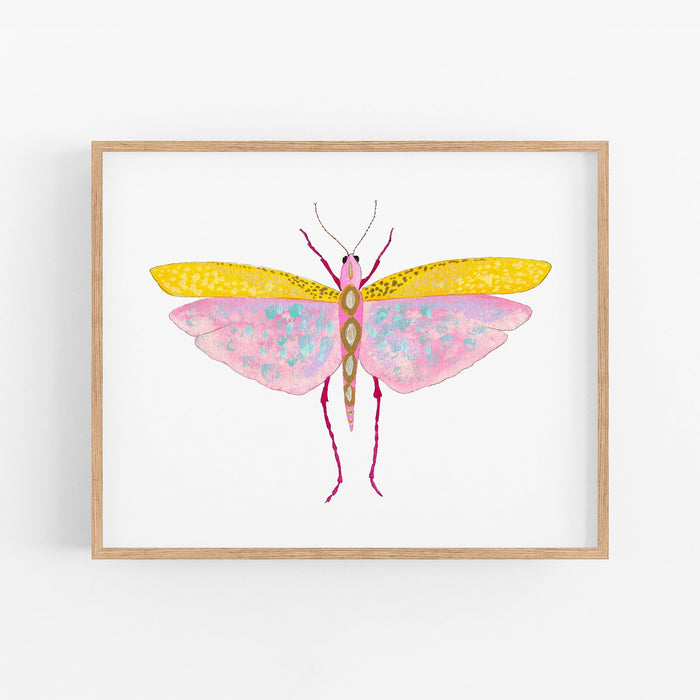 a painting of a pink and yellow butterfly