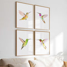 Living room with a wooden sofa, white cushions, and framed hummingbird artwork on the wall.