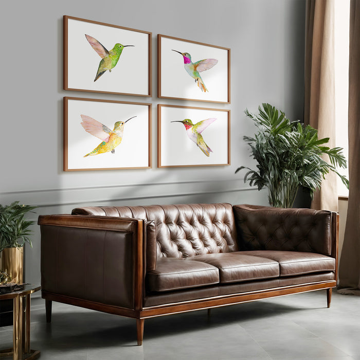 Hummingbirds ~ Set of 4
