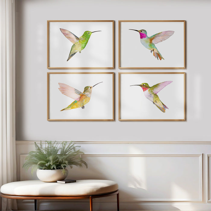Hummingbirds ~ Set of 4