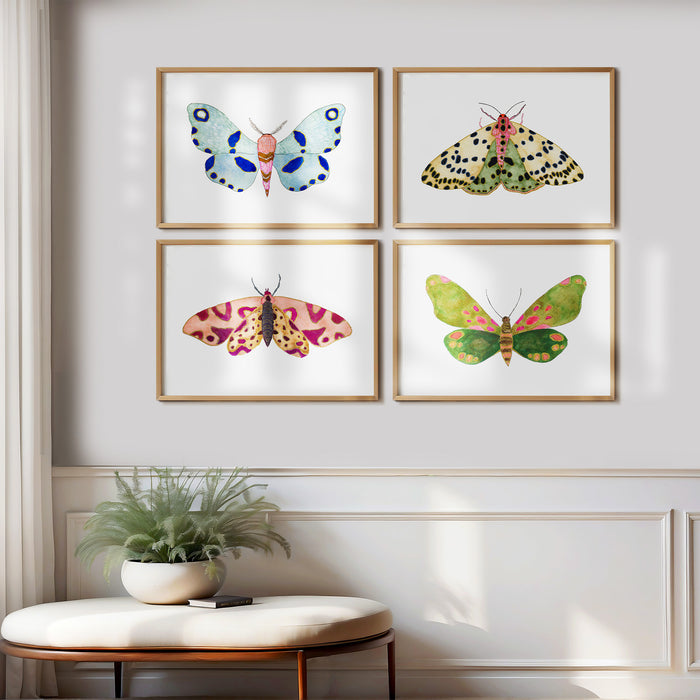 Moths To A Flame ~ Set of 4