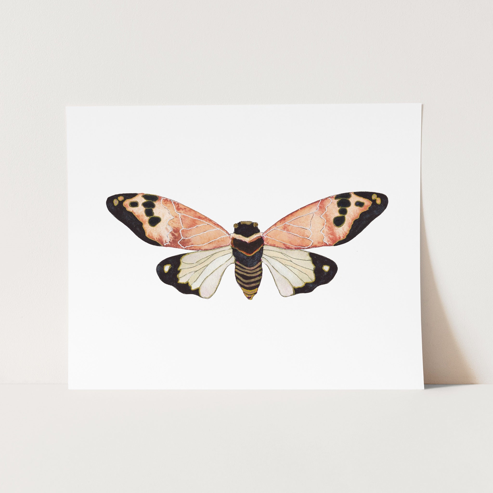 a card with a picture of a butterfly on it