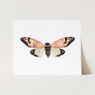 a card with a picture of a butterfly on it