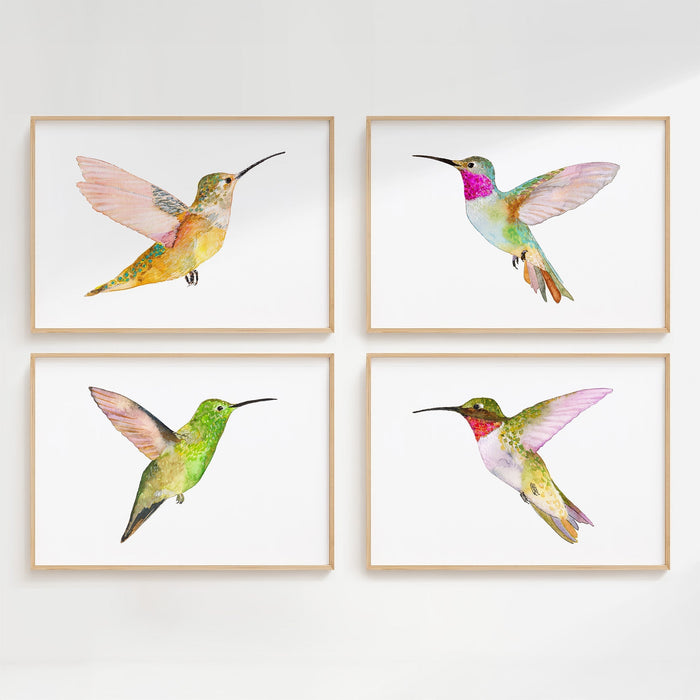 Hummingbirds ~ Set of 4