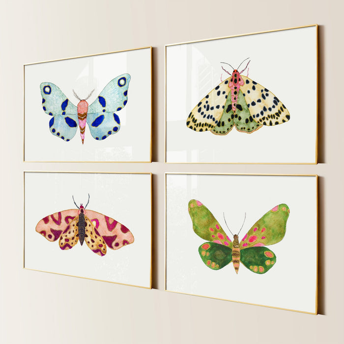 Moths To A Flame ~ Set of 4