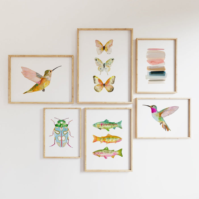 Broad-Tailed Hummingbird