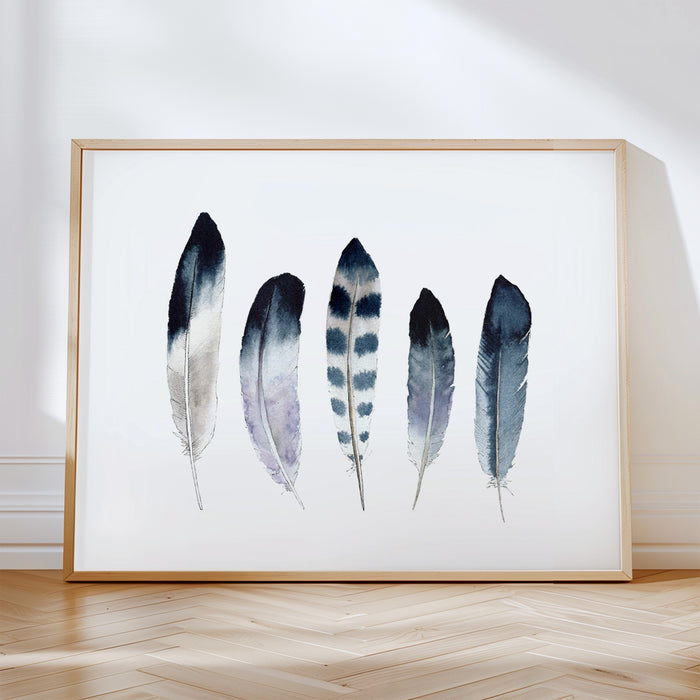 5 Feathers - Set of 4