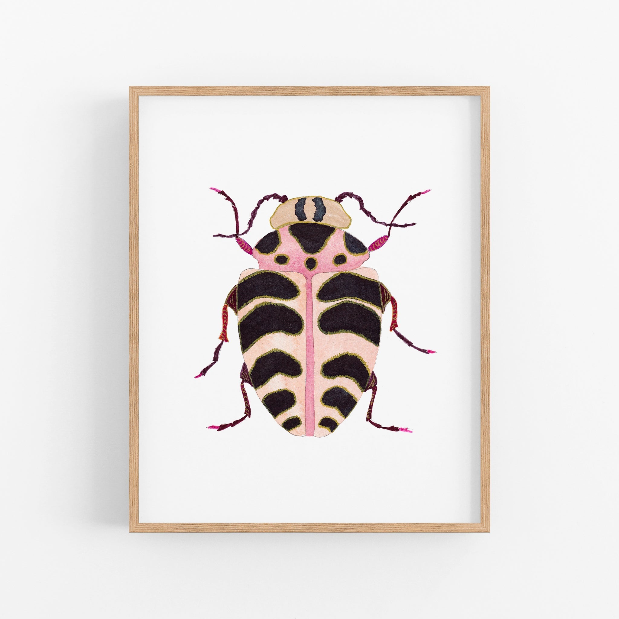 a picture of a bug on a white wall