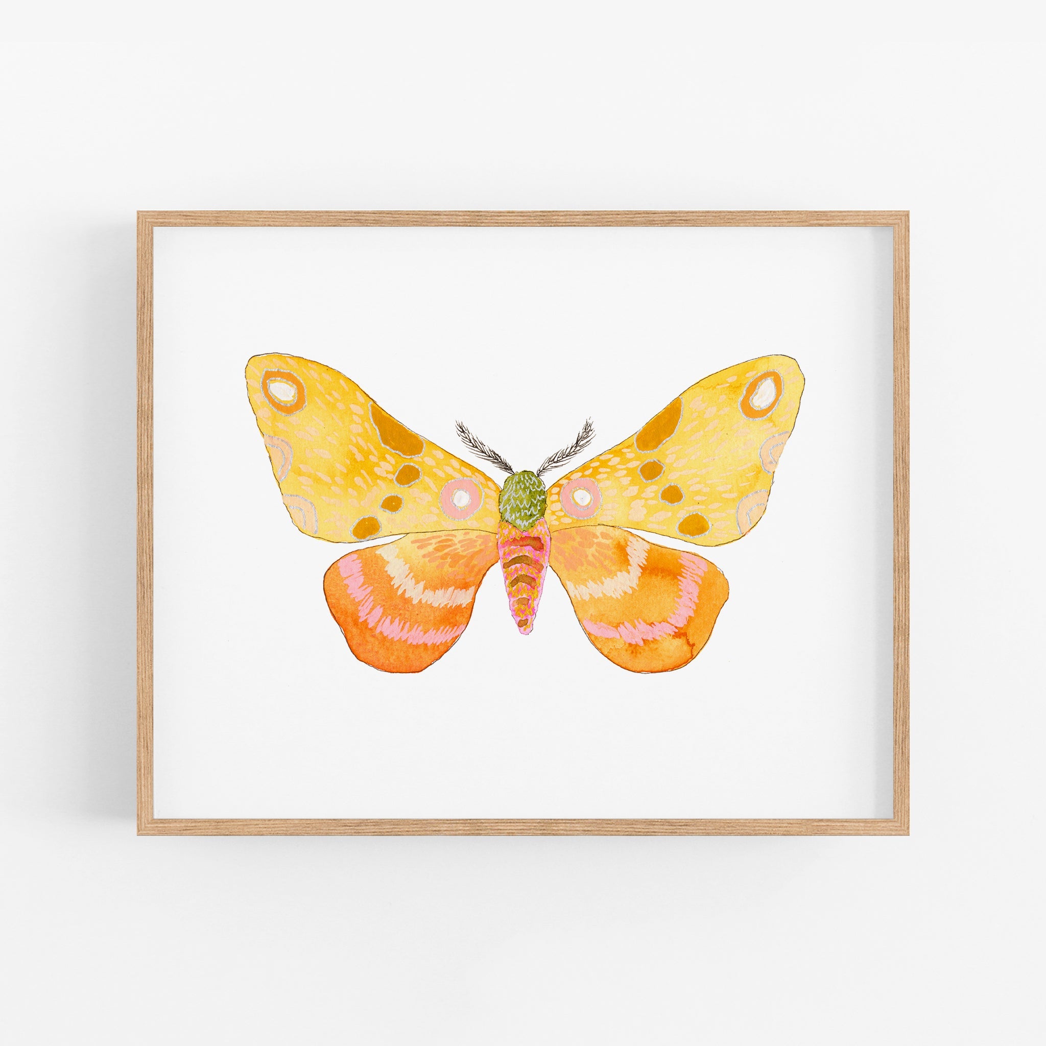 a watercolor painting of a butterfly on a white background