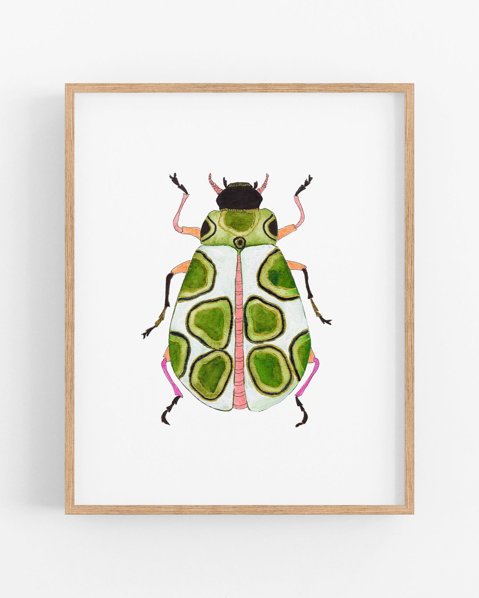 a picture of a green bug on a white background