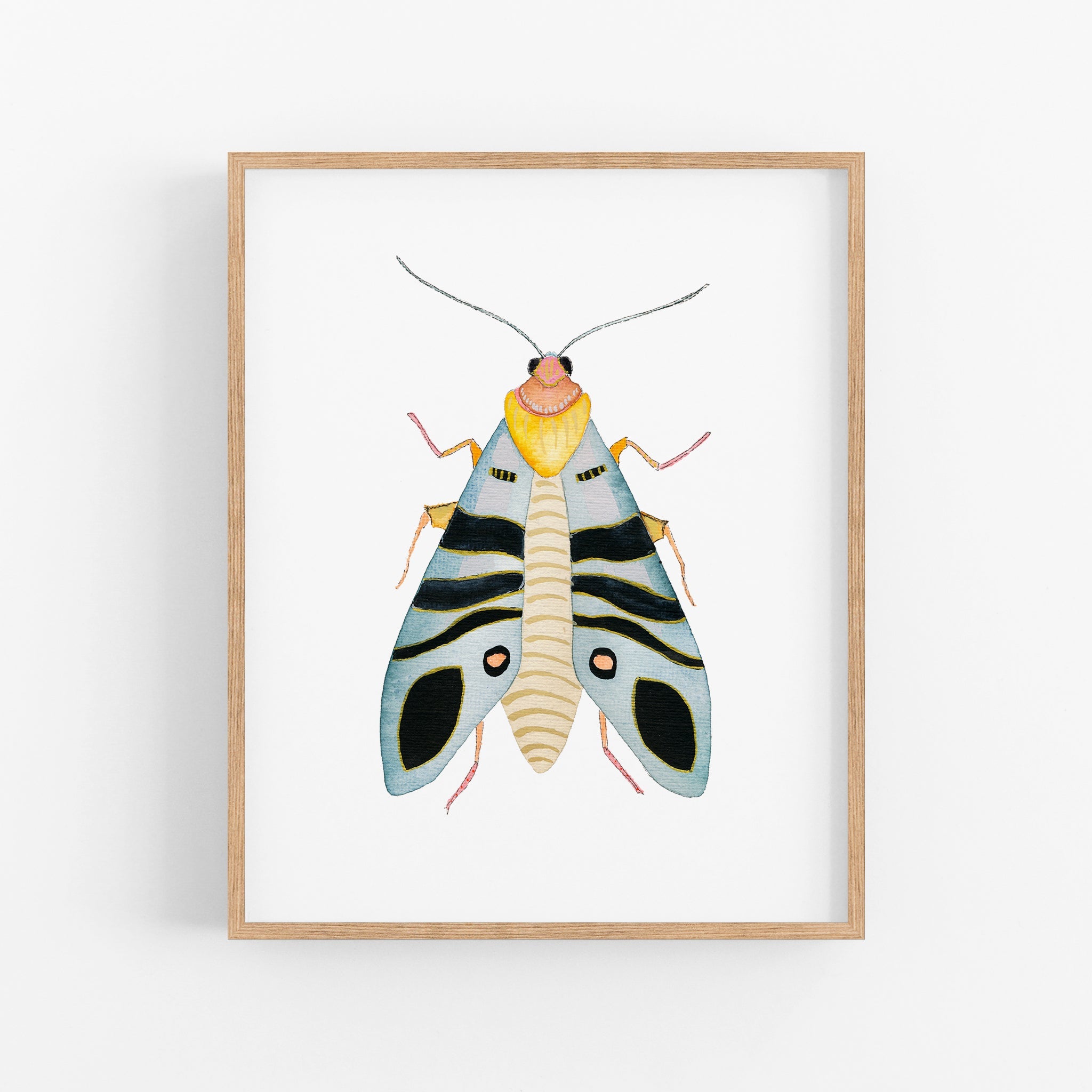 a picture of a bug on a white wall