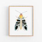 a picture of a bug on a white wall