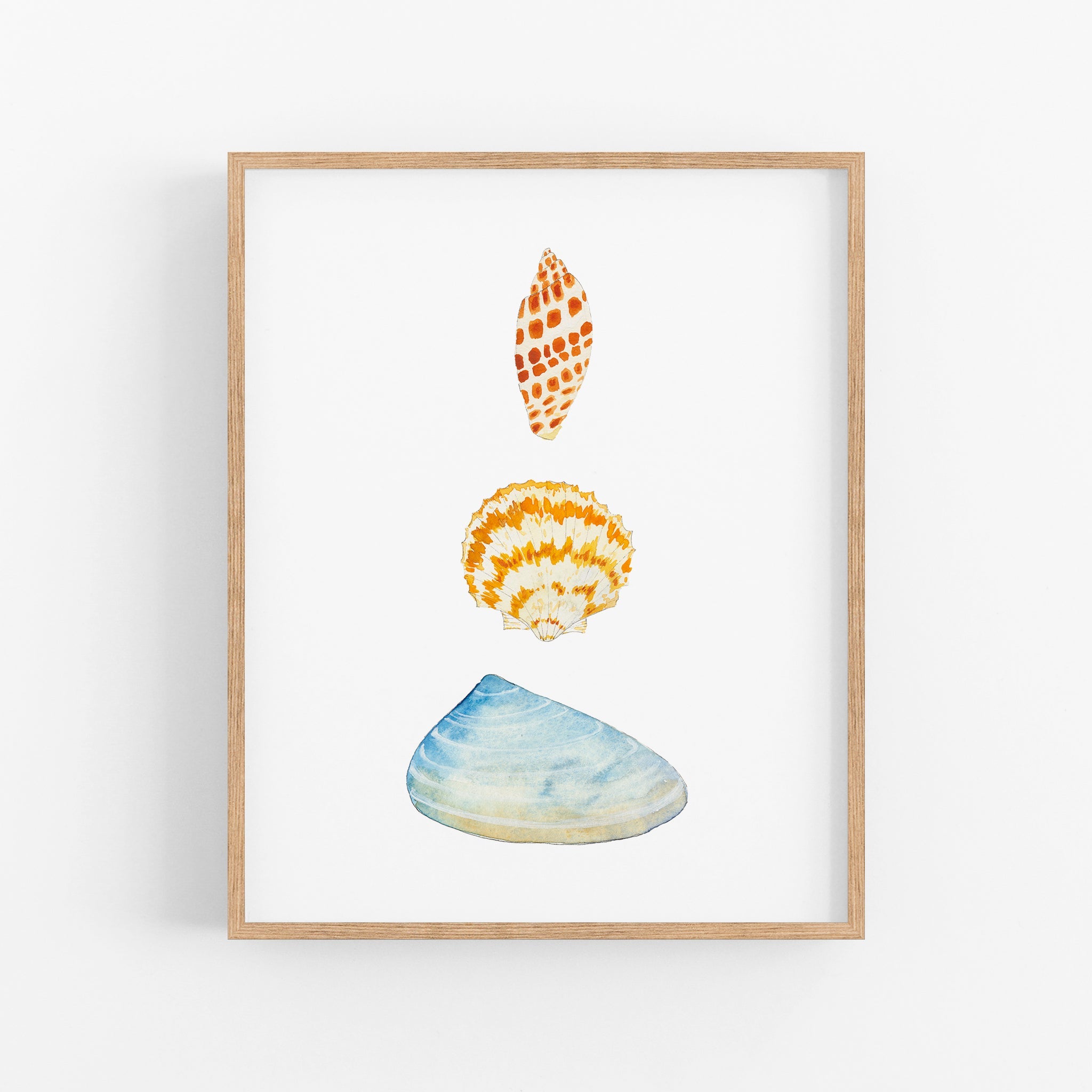 a painting of three seashells on a white background