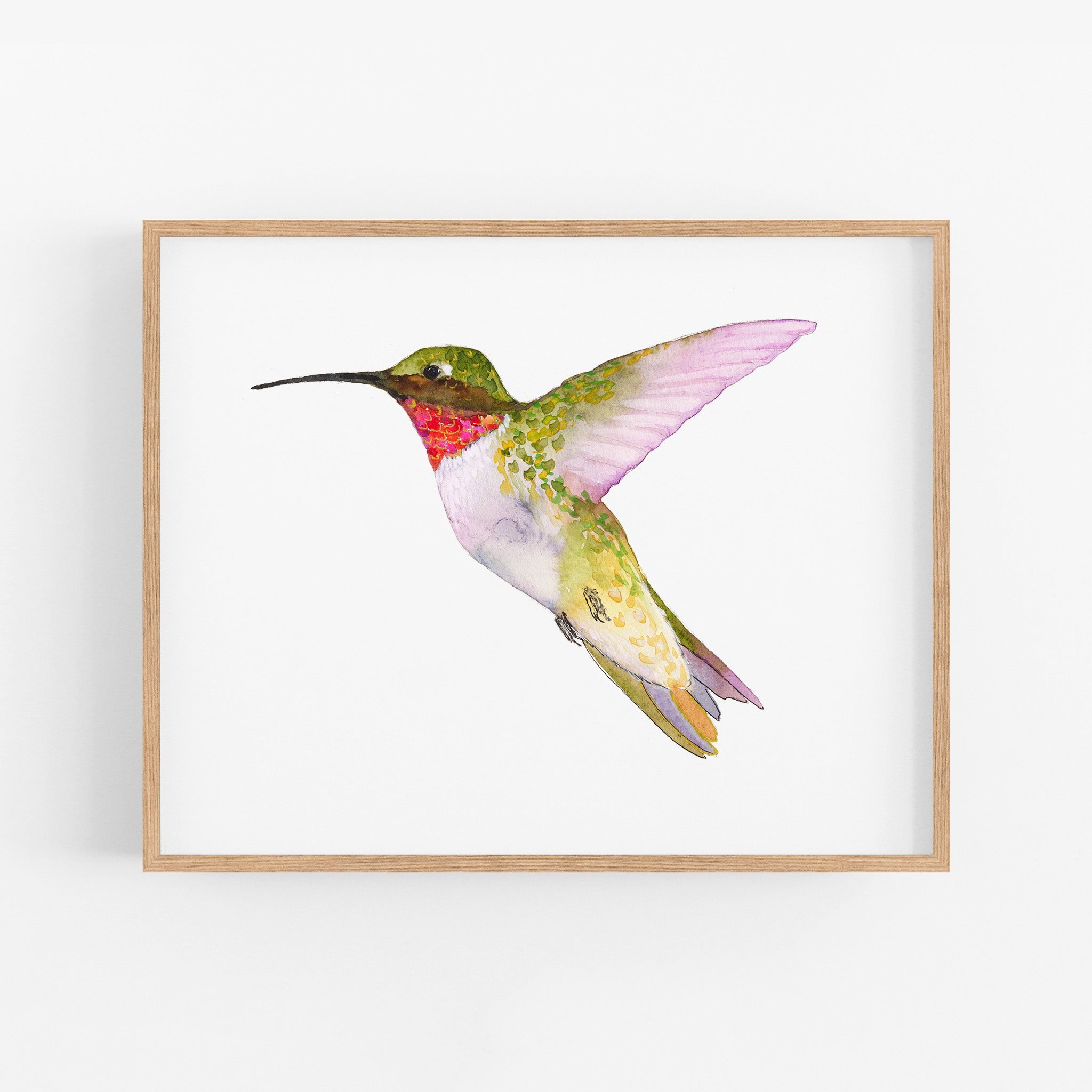 a watercolor painting of a hummingbird in flight