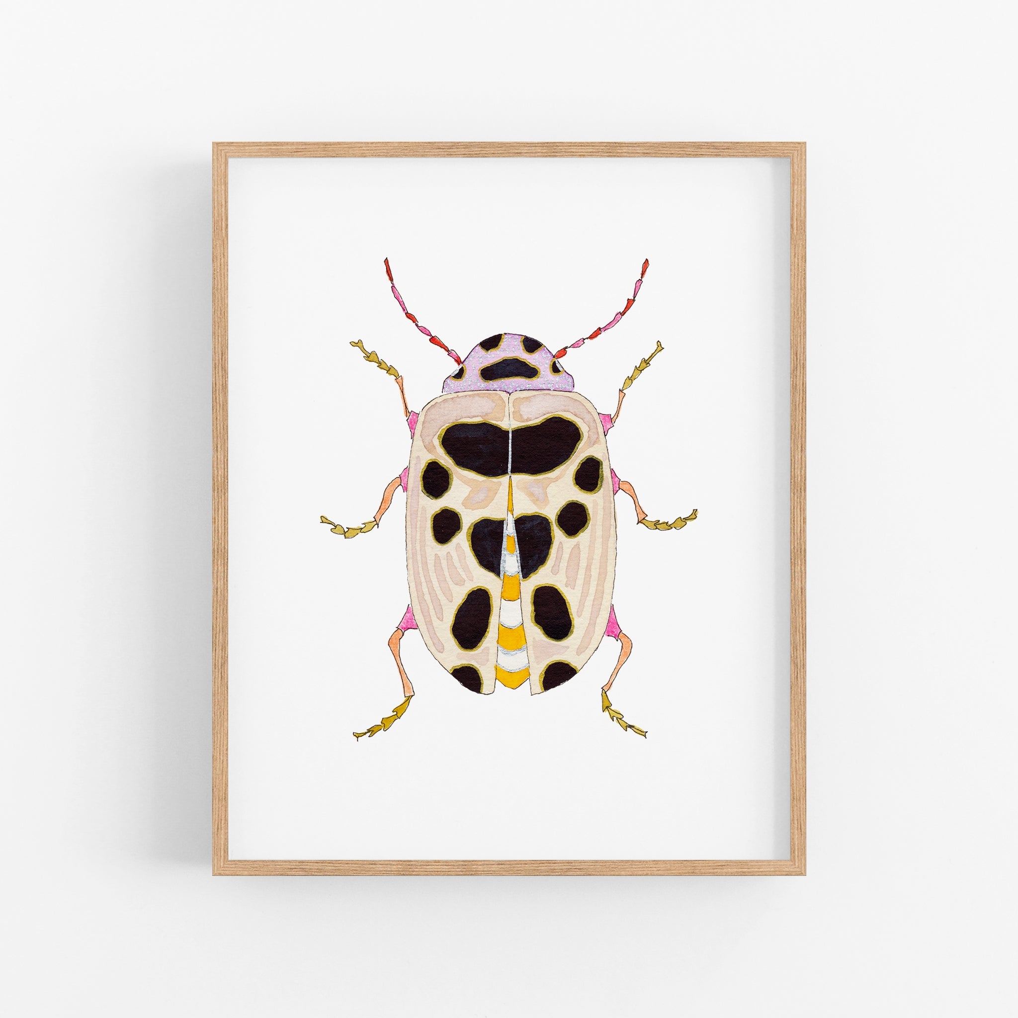 a picture of a bug on a white background