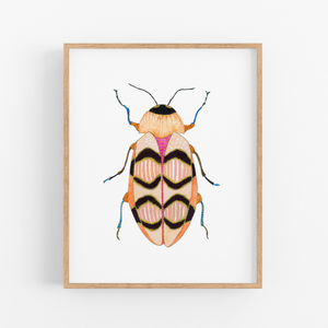 Beetle No. 15